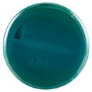 Geomar Fango d'Alga Oceanica 650 g